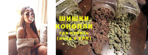 дурь Алзамай